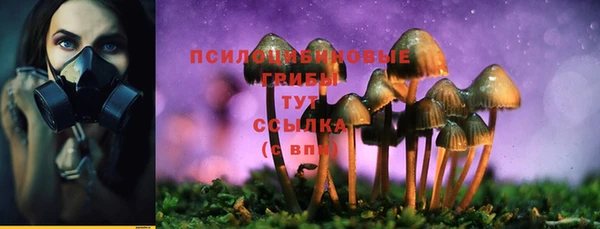 ПСИЛОЦИБИНОВЫЕ ГРИБЫ Алексеевка