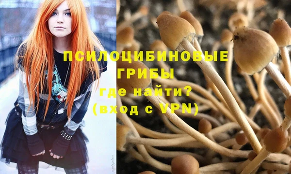 скорость Алексин