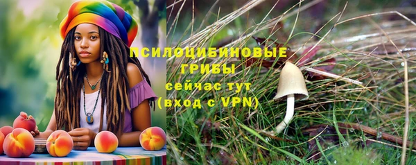 скорость Алексин